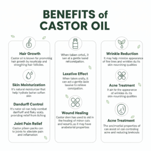 ๐ฟ 8 Amazing Benefits of Castor Oil